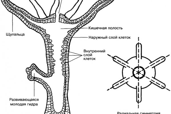 Кракен вход официальный сайт