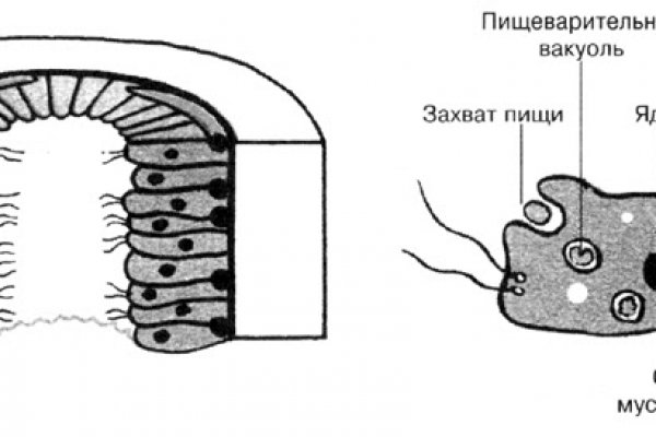 Кракен 20 at